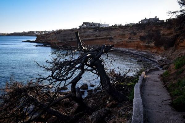 Πυρκαγιές: Ποιες περιοχές της Αττικής κινδυνεύουν να γίνουν νέο «Μάτι»