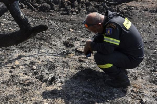 Μάτι: Το οικόπεδο που έγινε ομαδικός τάφος