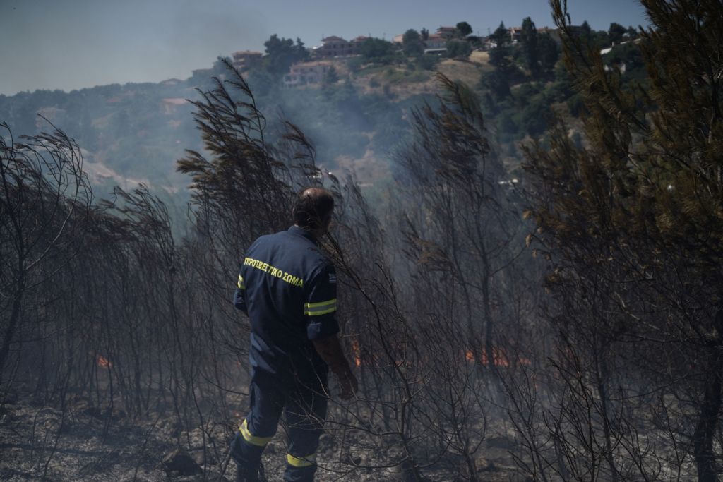 Φωτιές: Αυξημένες κατά 160% οι δασικές πυρκαγιές στην Ελλάδα – 300% περισσότερη καμένη έκταση