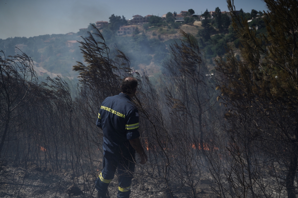 Φωτιές: Αυξημένες κατά 160% οι δασικές πυρκαγιές στην Ελλάδα - 300% περισσότερη καμένη έκταση