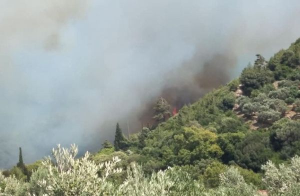 Σάμος: Ανεξέλεγκτη η φωτιά στη δασική περιοχή – Εκκενώνονται ξενοδοχεία λόγω του καπνού