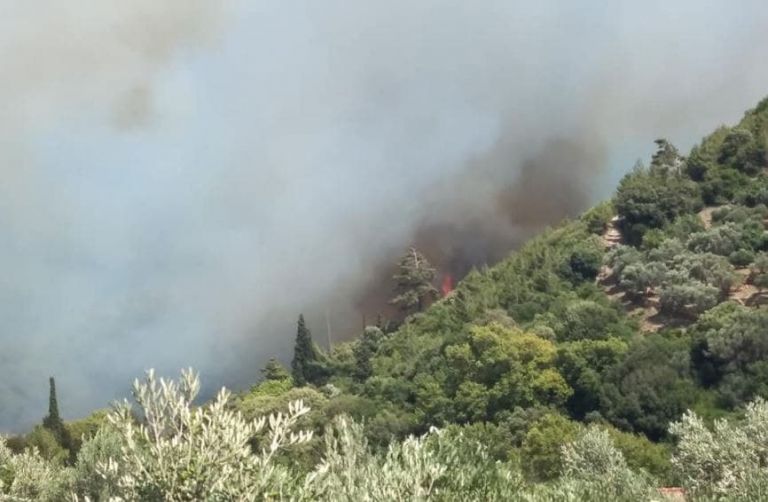 Σάμος: Ανεξέλεγκτη η φωτιά στη δασική περιοχή – Εκκενώνονται ξενοδοχεία λόγω του καπνού