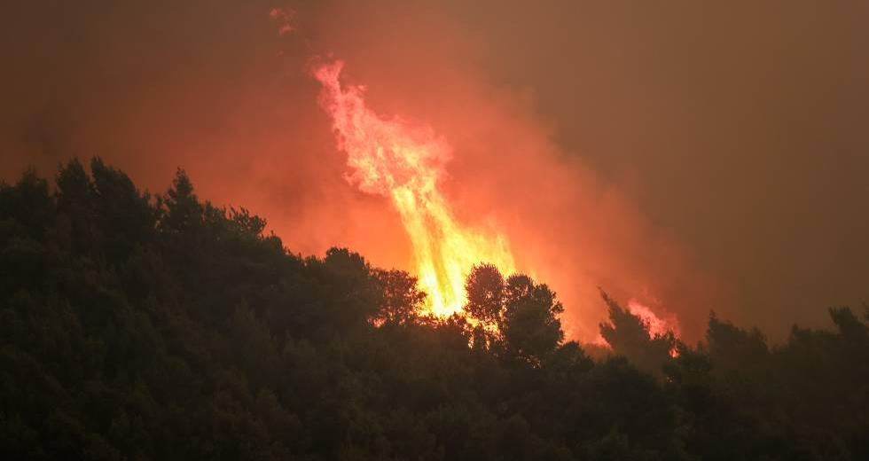 Συναγερμός για μεγάλη πυρκαγιά σε δασική έκταση της Χαλκιδικής