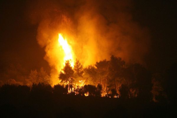 Συναγερμός τη νύχτα για δύο δασικές πυρκαγιές στη Μεσσηνία και το Λασίθι