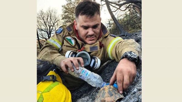 Πυροσβέστης συγκινεί: Δίνει νερό σε χελωνάκι μετά τη φωτιά στην Αχαΐα