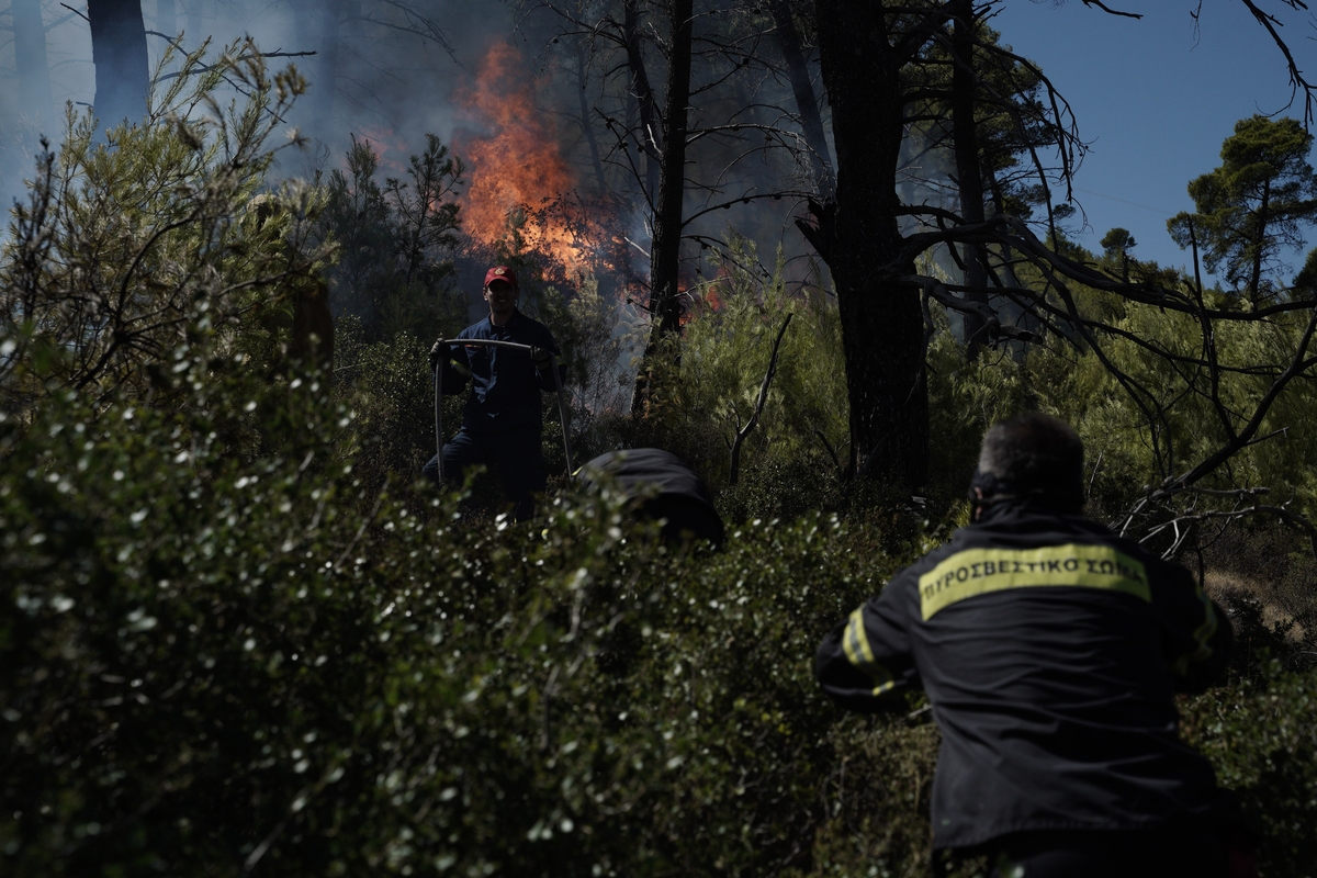 Ηράκλειο: Φωτιά κοντά στο χωριό Βόνη