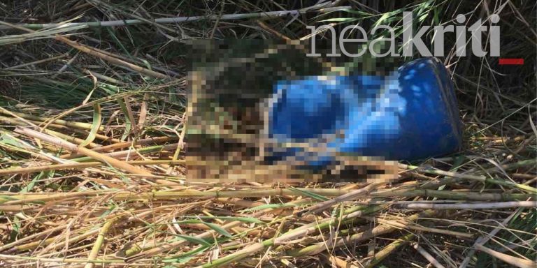 Ρέθυμνο: Νέα ανατριχιαστικά ευρήματα για το πτώμα στο βαρέλι – Ξεκλειδώνει η υπόθεση