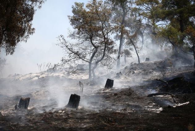 Σε ύφεση η πυρκαγιά στο Σέιχ Σου – Παραμένουν ισχυρές δυνάμεις για τυχόν αναζωπυρώσεις