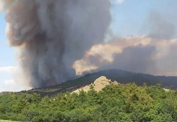 Έβρος: Συνεχίζεται η μάχη με τις φλόγες – Επέστρεψαν οι κάτοικοι στη Λευκίμμη