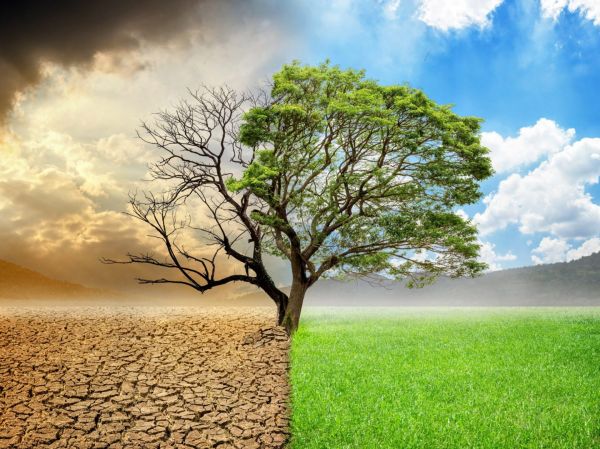 Κλίμα: Τα ζωτικά σημεία της Γης εξασθενούν – Η προειδοποίηση των επιστημόνων