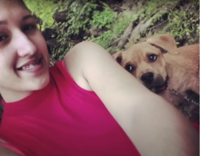 Απίστευτη ιστορία: Έψαχνε να υιοθετήσει σκύλο από καταφύγιο και βρήκε τον... δικό της που είχε χάσει