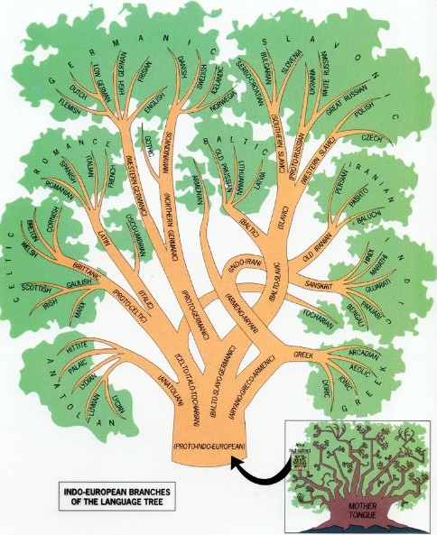 Η ελληνική γλώσσα στο διάβα του χρόνου: Περί της ινδοευρωπαϊκής οικογένειας γλωσσών (Μέρος Ε’)