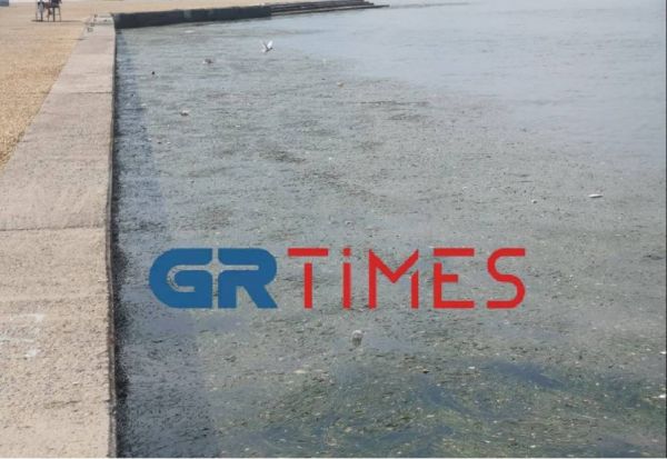 Θεσσαλονίκη: «Πνίγεται» στα σκουπίδια ο Θερμαϊκός