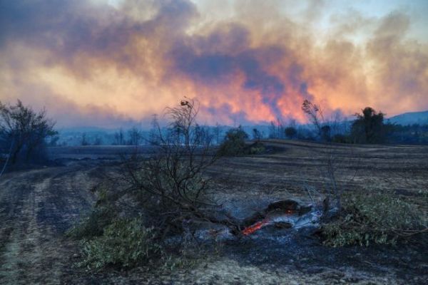 Τουρκία: Ένας νεκρός από τη δασική πυρκαγιά που μαίνεται για δεύτερη ημέρα στα νότια της χώρας