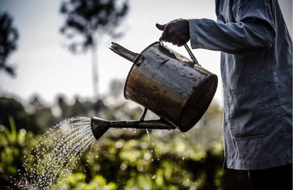 Λιβανός: H διασφάλιση βιώσιμων και ανθεκτικών συστημάτων τροφίμων θα επιφέρει πολλαπλά οφέλη
