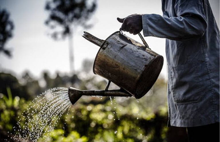 Λιβανός: H διασφάλιση βιώσιμων και ανθεκτικών συστημάτων τροφίμων θα επιφέρει πολλαπλά οφέλη
