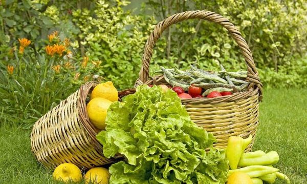 Βιολογικές καλλιέργειες: Μέχρι 30/7 διορθώσεις και υποβολή στοιχείων συμβάσεων με συμβούλους