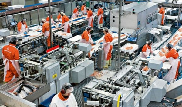 Υπάρχουν ακόμη τάξεις;