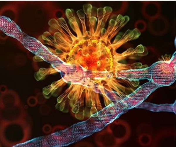 Ο κοροναϊός δεν ενσωματώνεται στο DNA μας τελικά – Τι δείχνει μελέτη