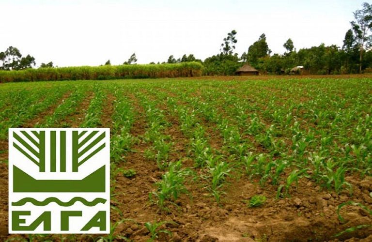 ΕΛΓΑ: Πληρώνει αποζημιώσεις 4,6 εκατ. ευρώ – Τα ποσά ανά νομό