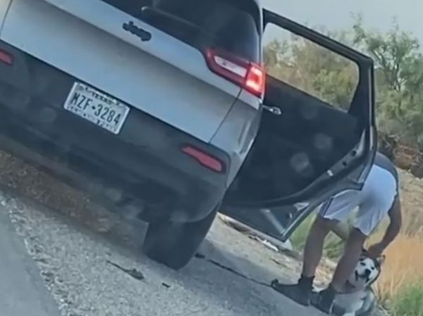 Βίντεο σπαραγμός – Εγκαταλείπουν τον σκύλο τους και εκείνος τρέχει να τους προλάβει