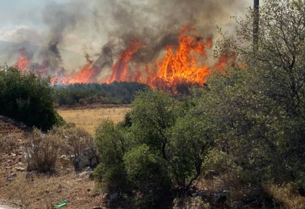 Συναγερμός στην Πυροσβεστική: Μεγάλη φωτά στην Αργολίδα – Εντολή εκκένωσης και μήνυμα του 112