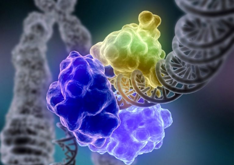 Χιλιάδες μεταλλάξεις ενζύμων «στο μικροσκόπιο» ενός τσιπ