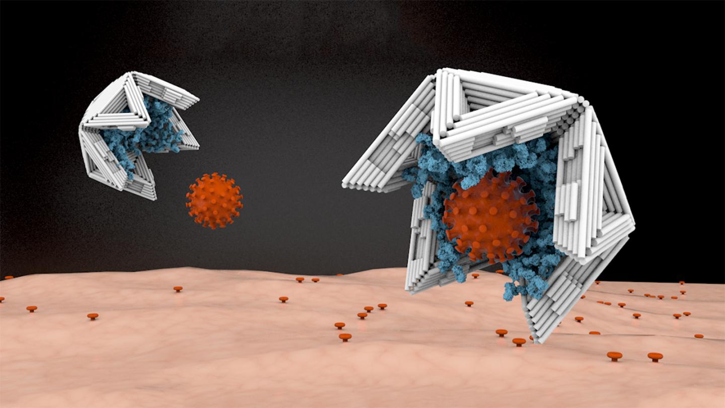 «Παγίδα»  – οριγκάμι για ιούς κατασκεύασαν επιστήμονες