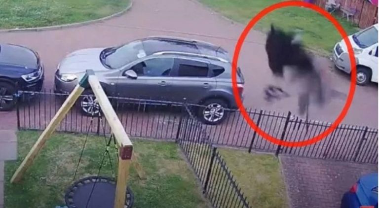 Σκωτία: Κάλεσε ιερέα για να ξορκίσει μια μαύρη φιγούρα που… πετούσε στην αυλή της