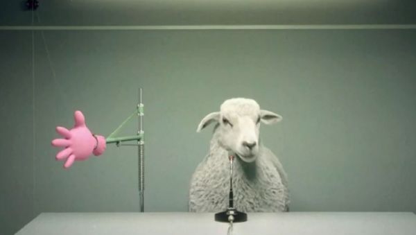 Ελβετία – Με ήχο βελάσματος προβάτου οι σειρήνες για τις έκτακτες ανάγκες