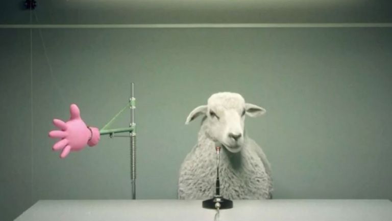 Ελβετία – Με ήχο βελάσματος προβάτου οι σειρήνες για τις έκτακτες ανάγκες