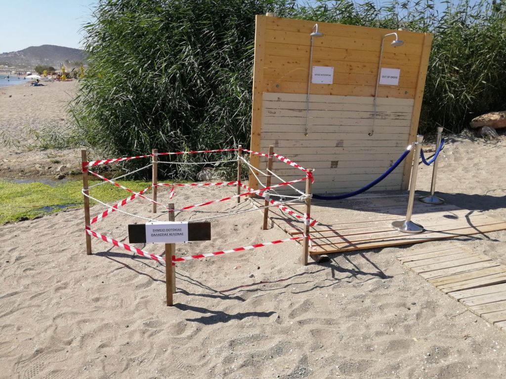 Φωλιά θαλάσσιας χελώνας στην Παλαιά Φώκαια