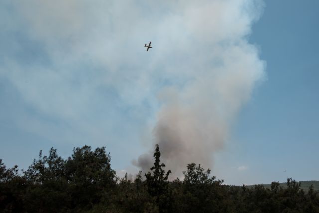 Φωτιά στην Εύβοια: Υπό έλεγχο το πύρινο μέτωπο – Απειλήθηκαν σπίτια