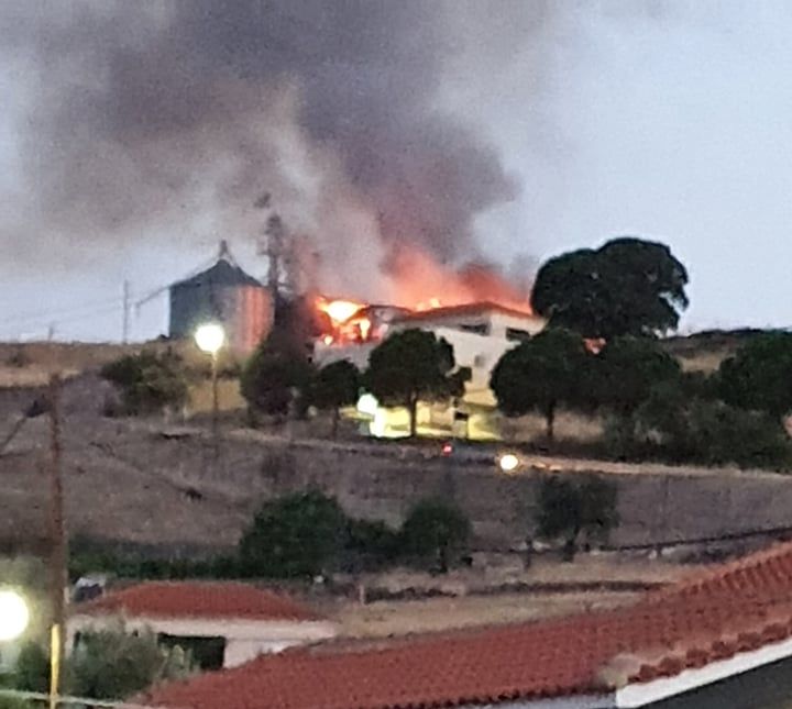 Φωτιά κατέστρεψε τμήμα του Συνεταιρισμού Μεσοτόπου Λέσβου – Πάνω από 3 εκατ. ευρώ η ζημιά