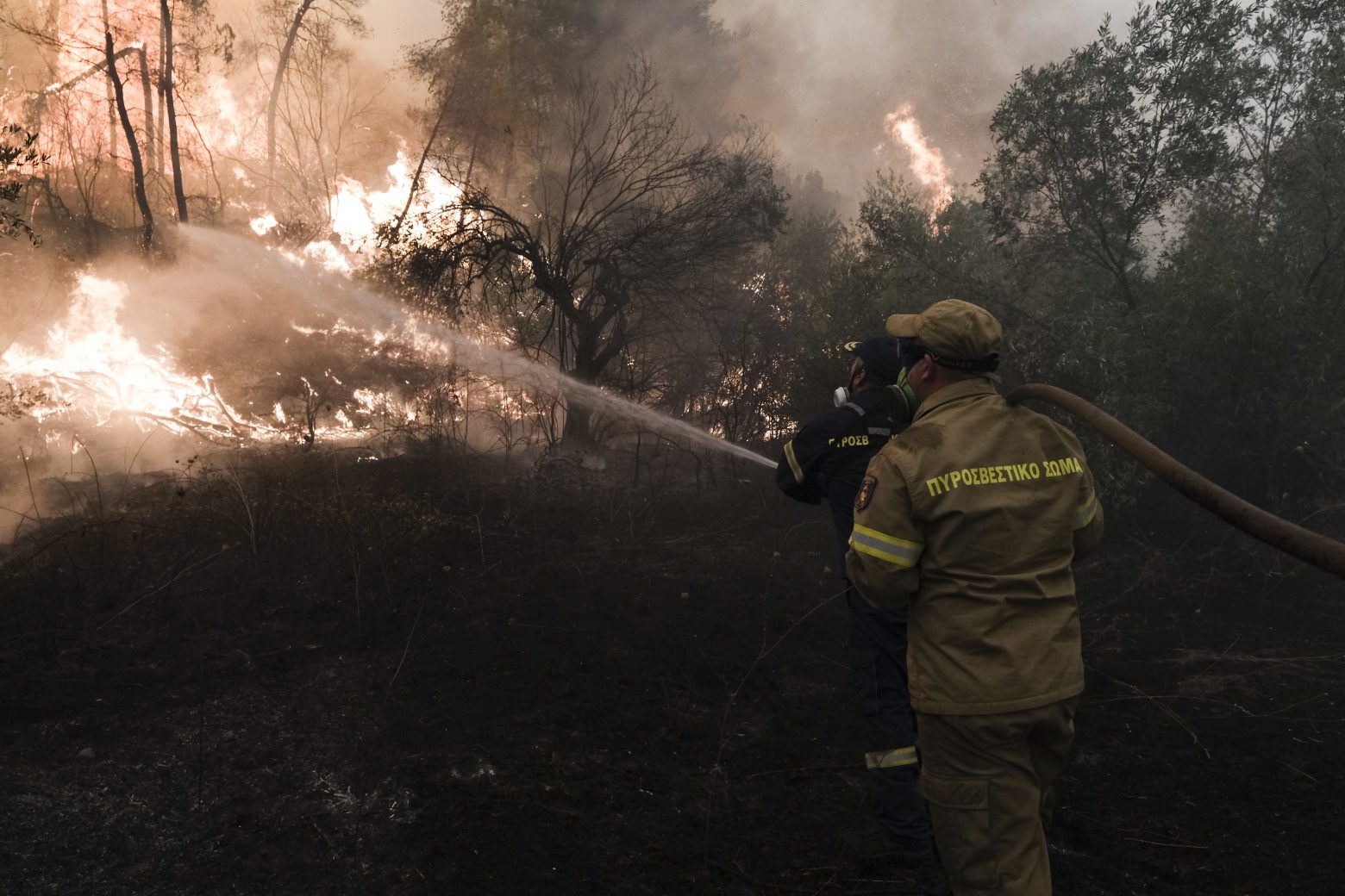 Φωτιές - Παρατείνεται η απαγόρευση μετακίνησης σε δάση και άλση - «Ζούμε  μία πρωτόγνωρη κατάσταση» | in.gr