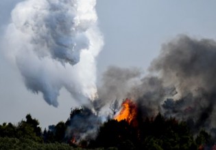 Ζάκυνθος – Προφυλακίστηκε 55χρονος για εμπρησμούς – Ομολόγησε τις φωτιές στο Αργάσι