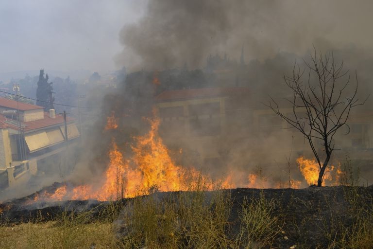 Στάχτη και σιωπή