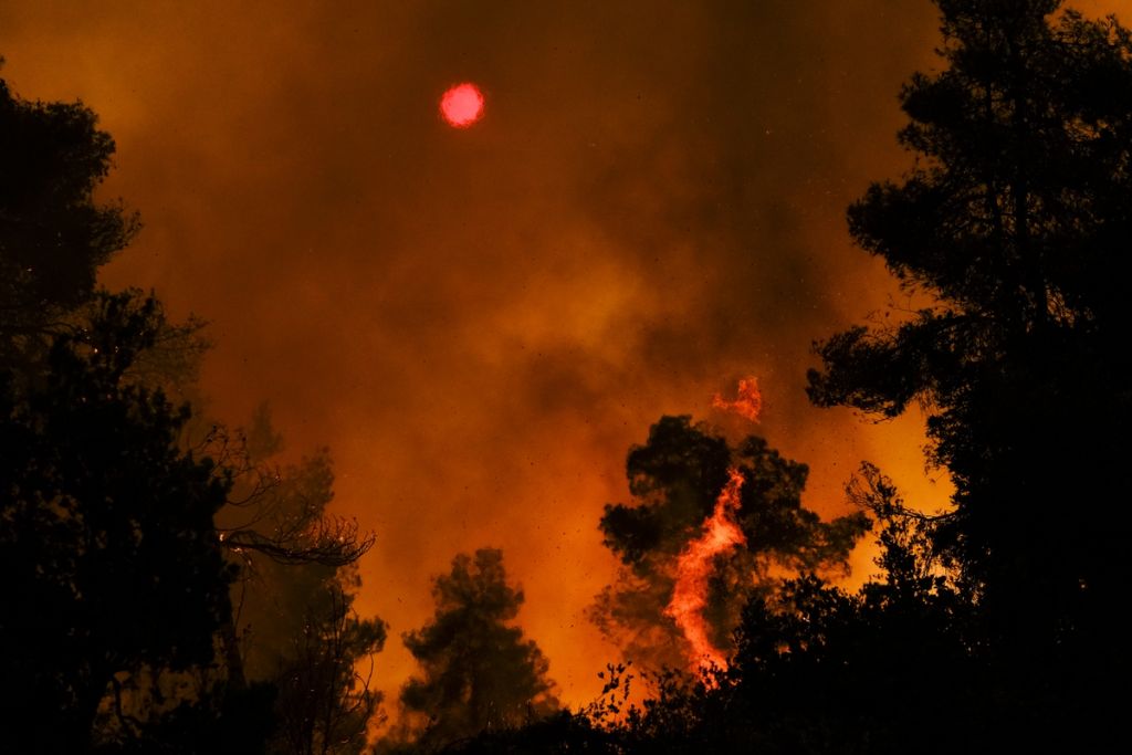 Φωτιές στην Ελλάδα – «Καμπανάκι» Λαγούβαρδου – Σύμμαχος για τις φωτιές οι άνεμοι στη βόρεια Εύβοια