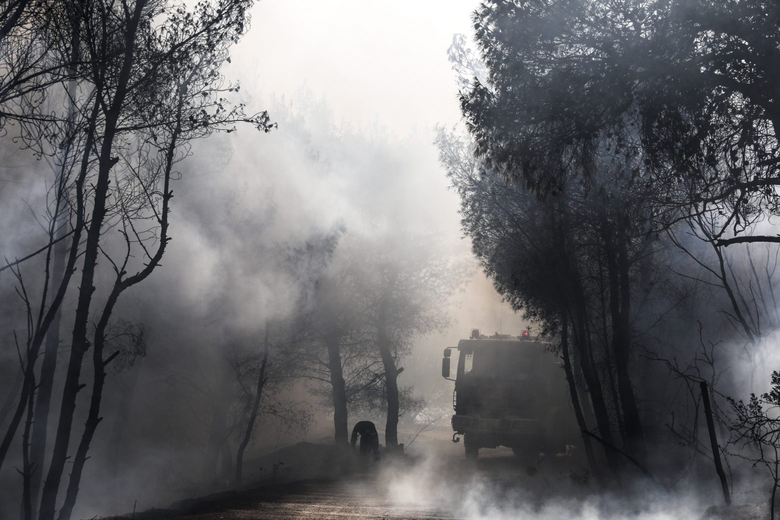 Ακραίος κίνδυνος πυρκαγιάς την Κυριακή 22 Αυγούστου – Σε ποιες περιοχές σήμανε συναγερμός