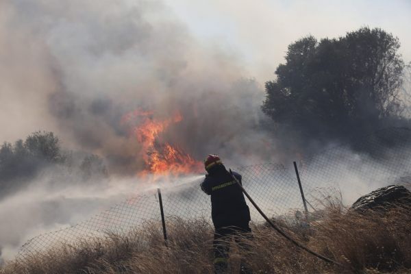 Πάνω από 94.000 στρέμματα η καμένη γη στα Βίλια – Πολωνοί και Ρουμάνοι παραμένουν στην Ελλάδα για τις φωτιές