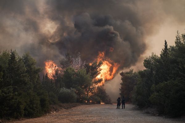 Πολύ υψηλός κίνδυνος πυρκαγιάς (κατηγορία κινδύνου 4) προβλέπεται αύριο για πολλές περιοχές της χώρας