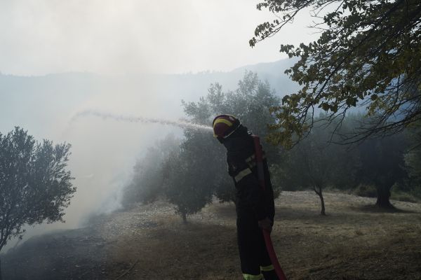Φωτιά στην Τανάγρα – Προκλήθηκε από κεραυνό