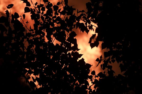 Στα πρώτα θέματα των διεθνών Μέσων οι φωτιές στην Ελλάδα