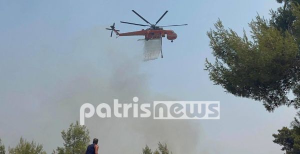 Φωτιά στην Αρχαία Ολυμπία – Μάχη με τις αναζωπυρώσεις σε Δούκα, Λάσδικα και Λάλα