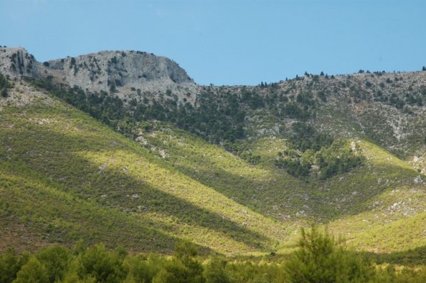 Η Εύβοια της αγροδιατροφής