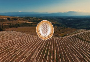 Πληρωμές 3 εκατ. ευρώ από τον ΟΠΕΚΕΠΕ