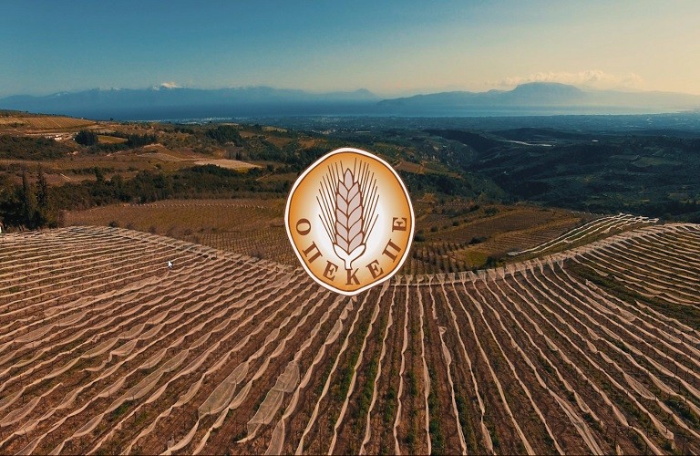 Πληρωμές 3 εκατ. ευρώ από τον ΟΠΕΚΕΠΕ