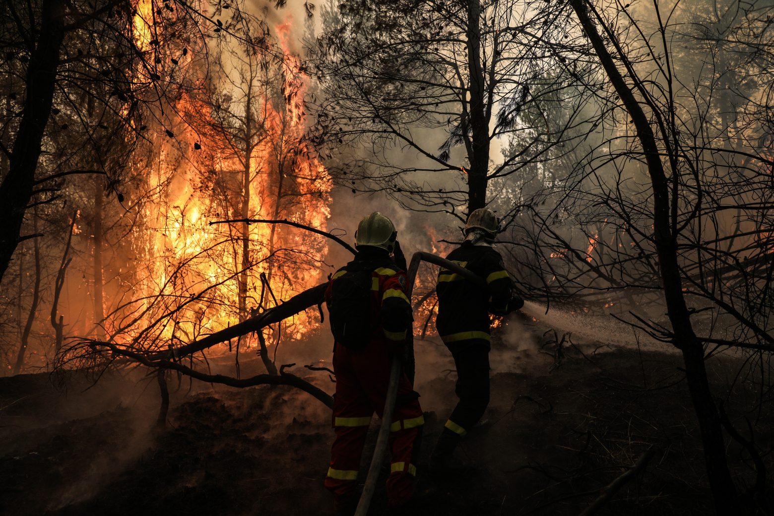 Φωτιά - Νέος συναγερμός στην Εύβοια - Εκκενώνεται το χωριό Ασμήνιο