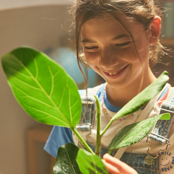 Green Is The New Red