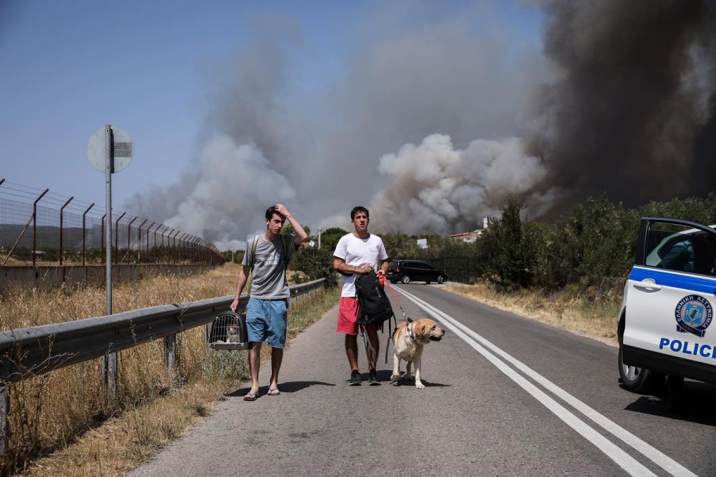 Φωτιά Βαρυπόμπη – Συγκινούν οι προσπάθειες πυροσβεστών και κατοίκουν να σώσουν ζωάκια της περιοχής